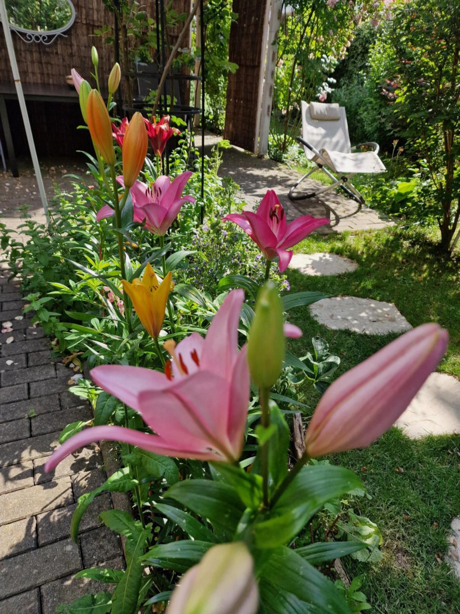Ferienwohnung Domschatz Naumburg  Esterno foto